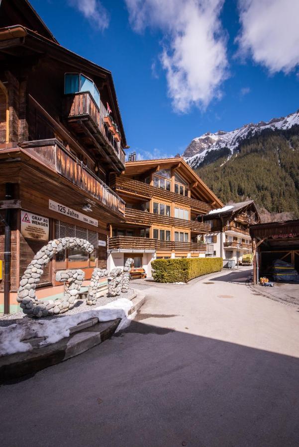 Chalet Schneehoren Penthouse 翁根 外观 照片
