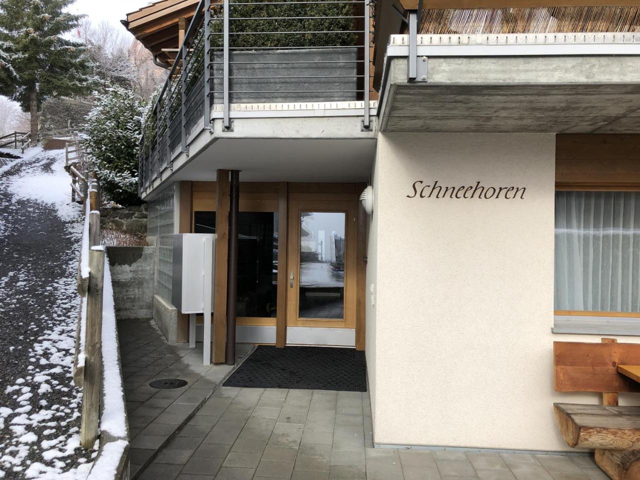 Chalet Schneehoren Penthouse 翁根 外观 照片